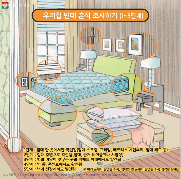 빈대 흔적