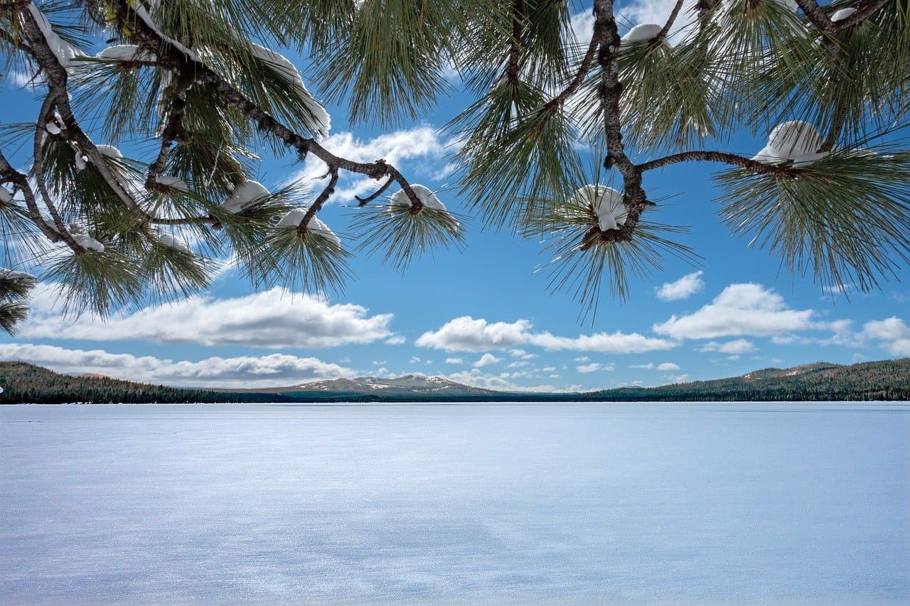 경북 경주 포항 울진 영덕 산림투어 놀숲패스 일정 추천