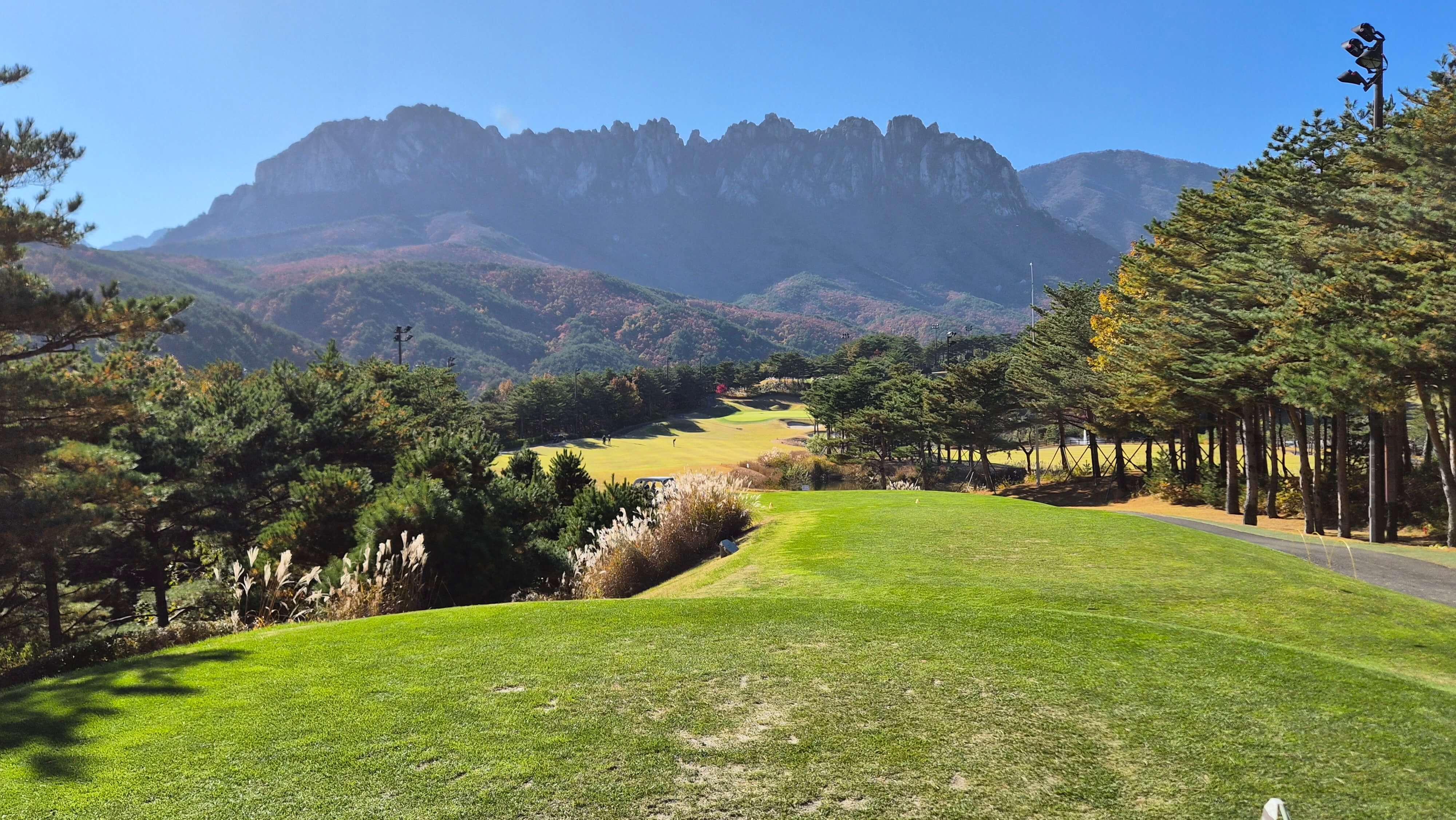 골프장 경험담 소노펠리체cc델피노 설악산 울산바위와 탁 뜨인 동해 바다 소나무가 멋진곳