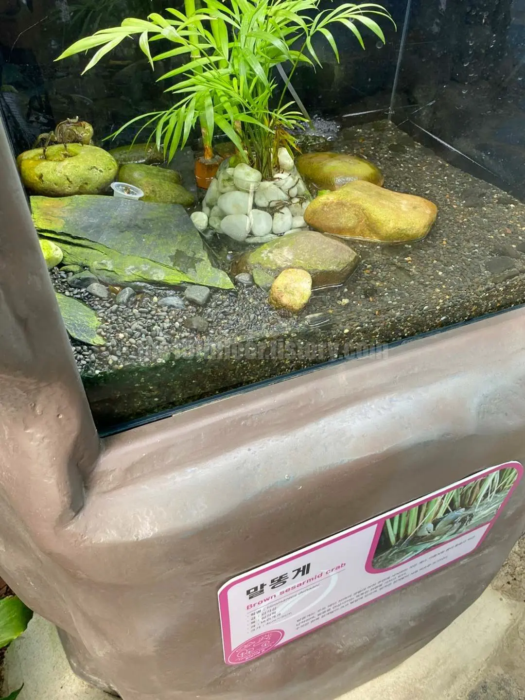 경남 의령 &amp;#39;의령 곤충생태학습관&amp;#39; (1층&amp;#44; &amp;#39;생태 유리온실&amp;#39;)