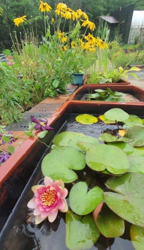 한국인의밥상-화순-허브정원-치유정원-허브뜨락