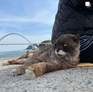 싱어게인3-강성희