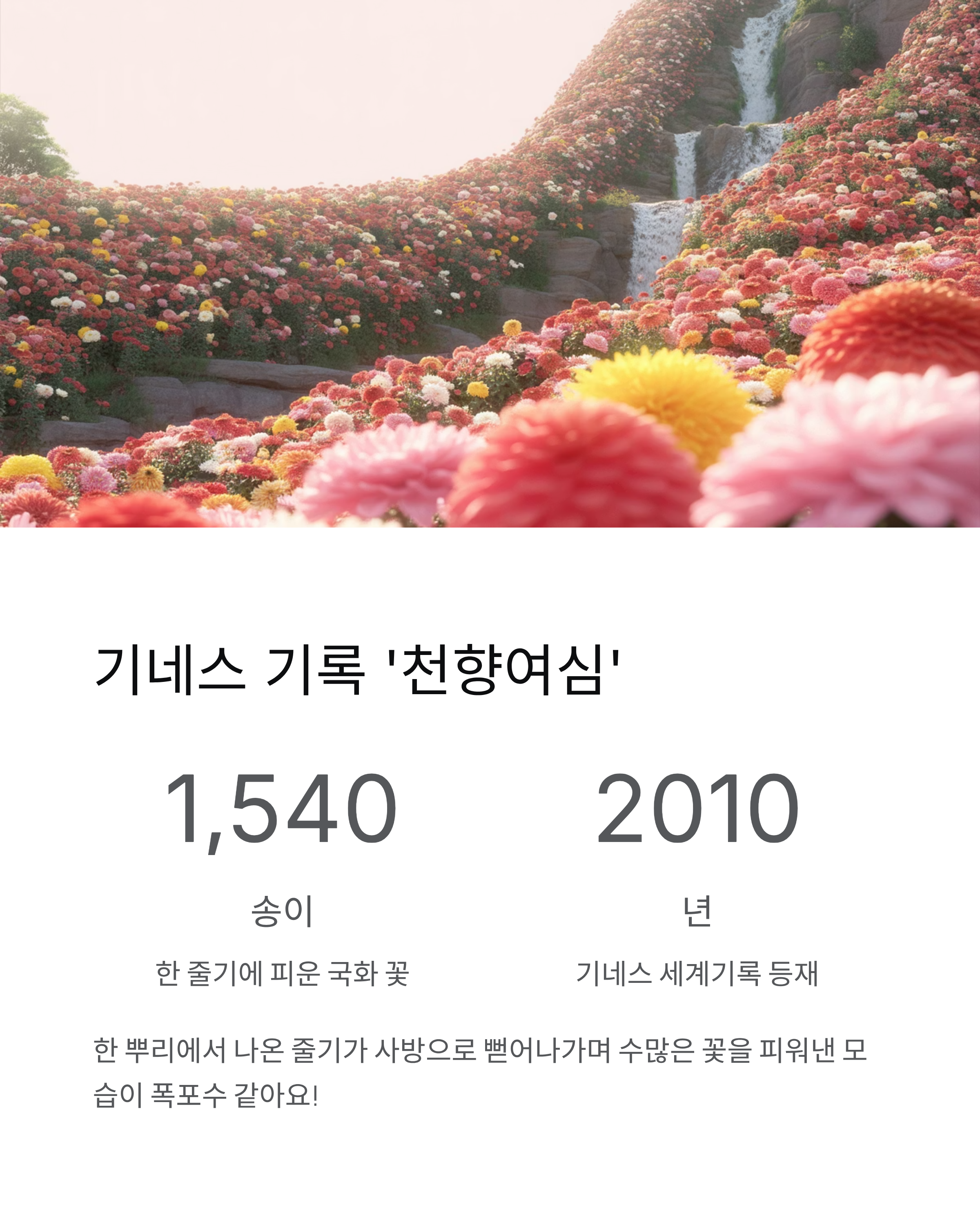 마산 가고파 국화축제 (행사안내,주차정보), 11월 9일까지 놓치지 마세요!