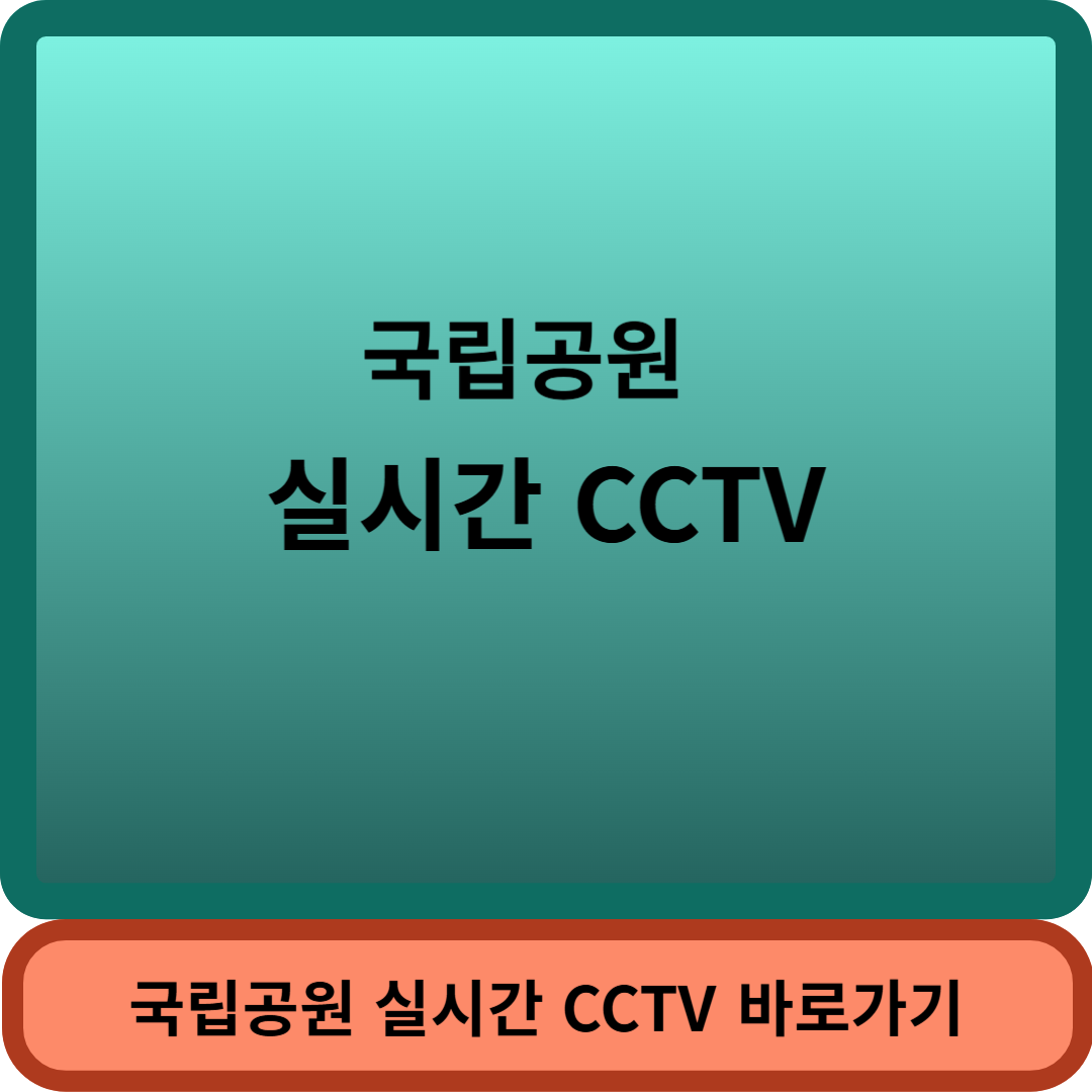 국립공원CCTV썸네일