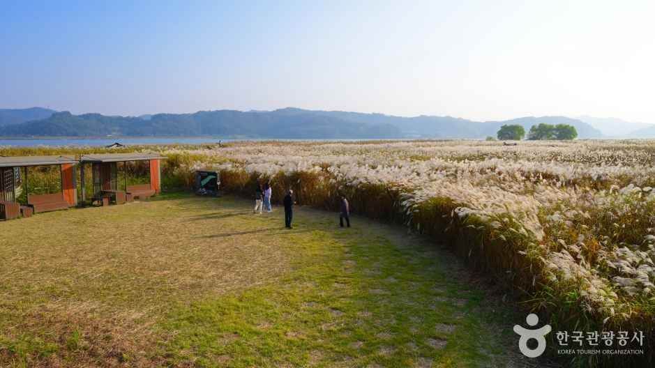 장항항 수산물 꼴갑축제