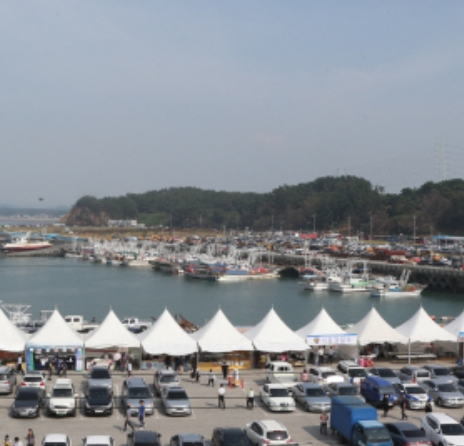 홍원항 전어·꽃게 축제 2025