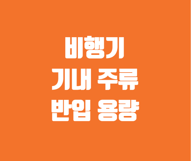 비행기 기내 주류 반입 용량