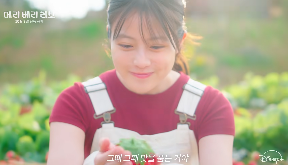 메리 베리 러브