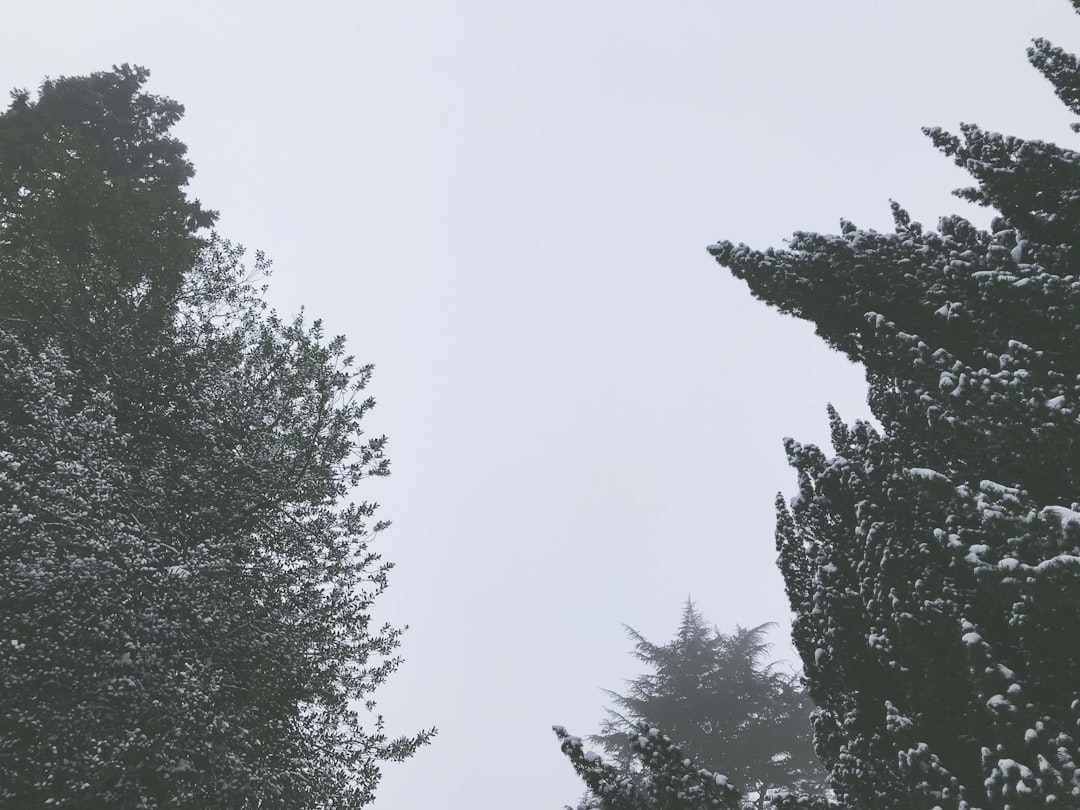 Snowfall