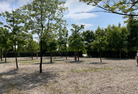 파이브이모션 캠핑장 C존