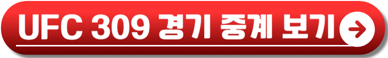 UFC 308