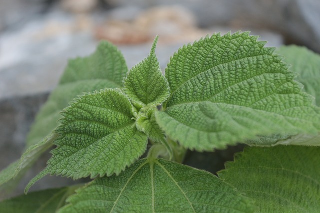 추운-겨울-소고기-꼭-챙겨-먹어야-하는-이유