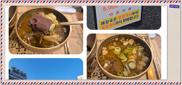 전현무계획2 진주 진주비빔밥 홍두깨살육전 진주불고기 후기