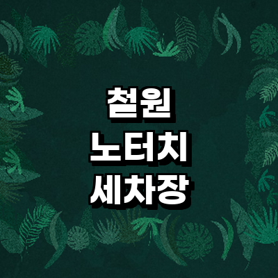 철원군 노터치 세차