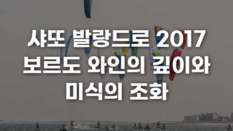 샤또 발랑드로 2017 보르도 와인의 깊이와 미식의 조화 사진 1