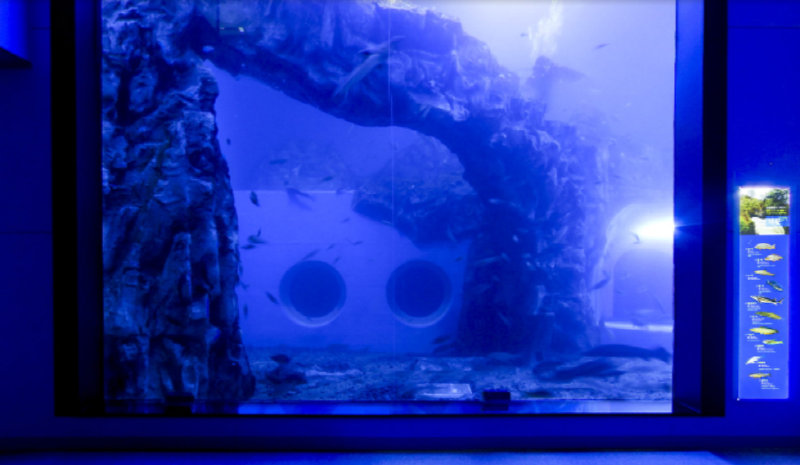 단양 아쿠아리움