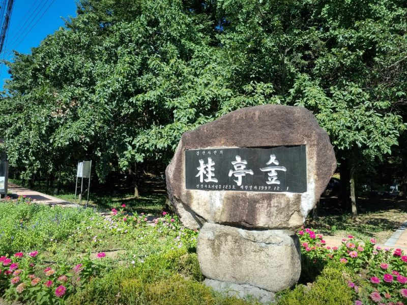 자인 계정숲