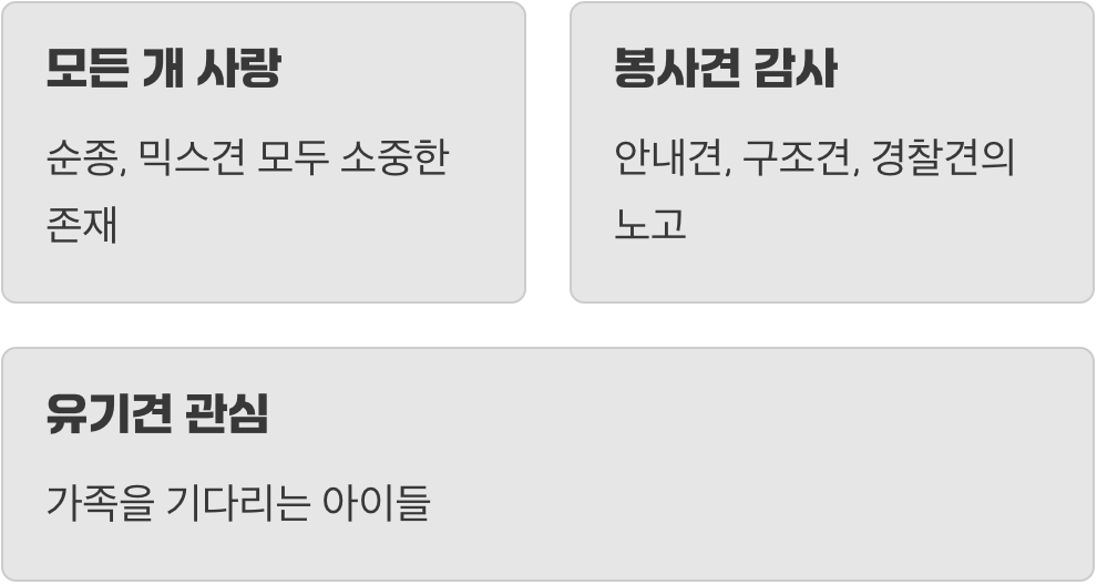 특별한 친구를 위한 특별한 하루