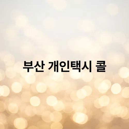 부산 개인택시 콜