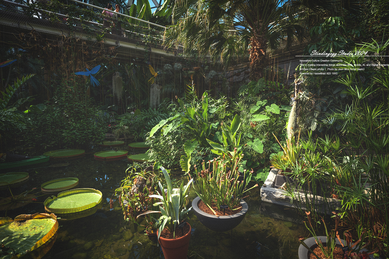 #서울 #식물원 #서울식물원 #꽃