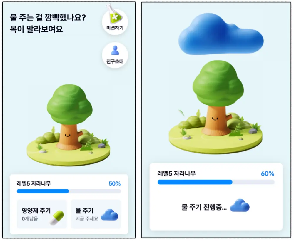 케이뱅크 돈나무-물주기