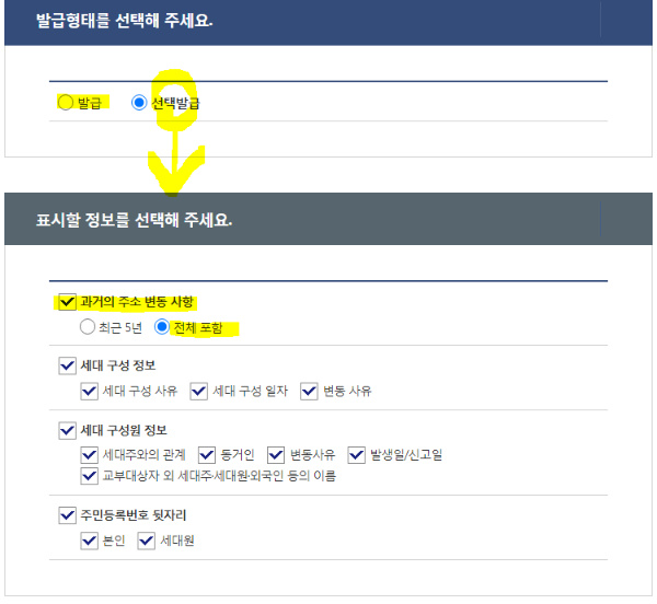 발급형태, 표시할 정보 선택 화면