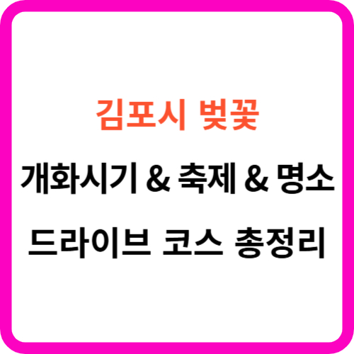 김포 벚꽃 개화시기 명소 축제 드라이브 코스 가이드