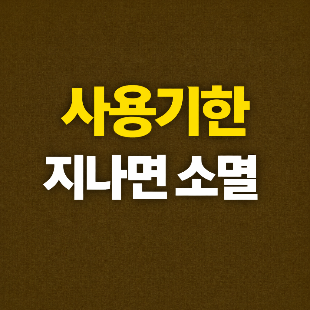 첫만남 이용권 사용방법, 300만 원 그냥 사라질 수 있습니다