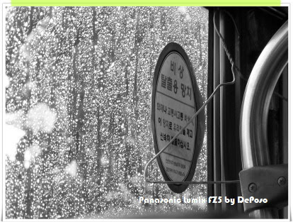 비 오는 날, 시내버스 창문에 맺힌 빗방울 너머로 흐릿하게 보이는 나무들. 창문에 부착된 ‘비상 탈출용 망치’ 안내 표지판과 손잡이가 함께 보인다. 흑백 사진.