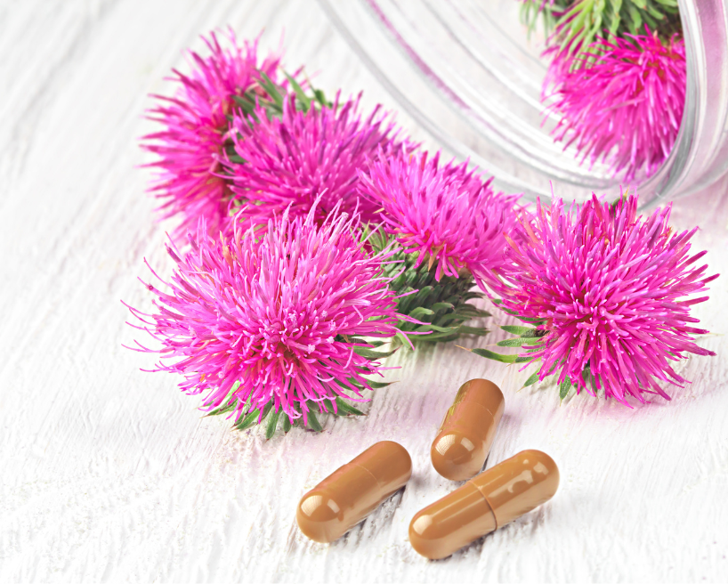 밀크씨슬 효능 부작용과 제품 추천