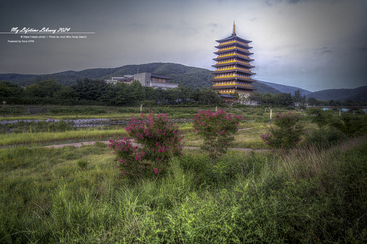 경주 황룡원 배롱꽃