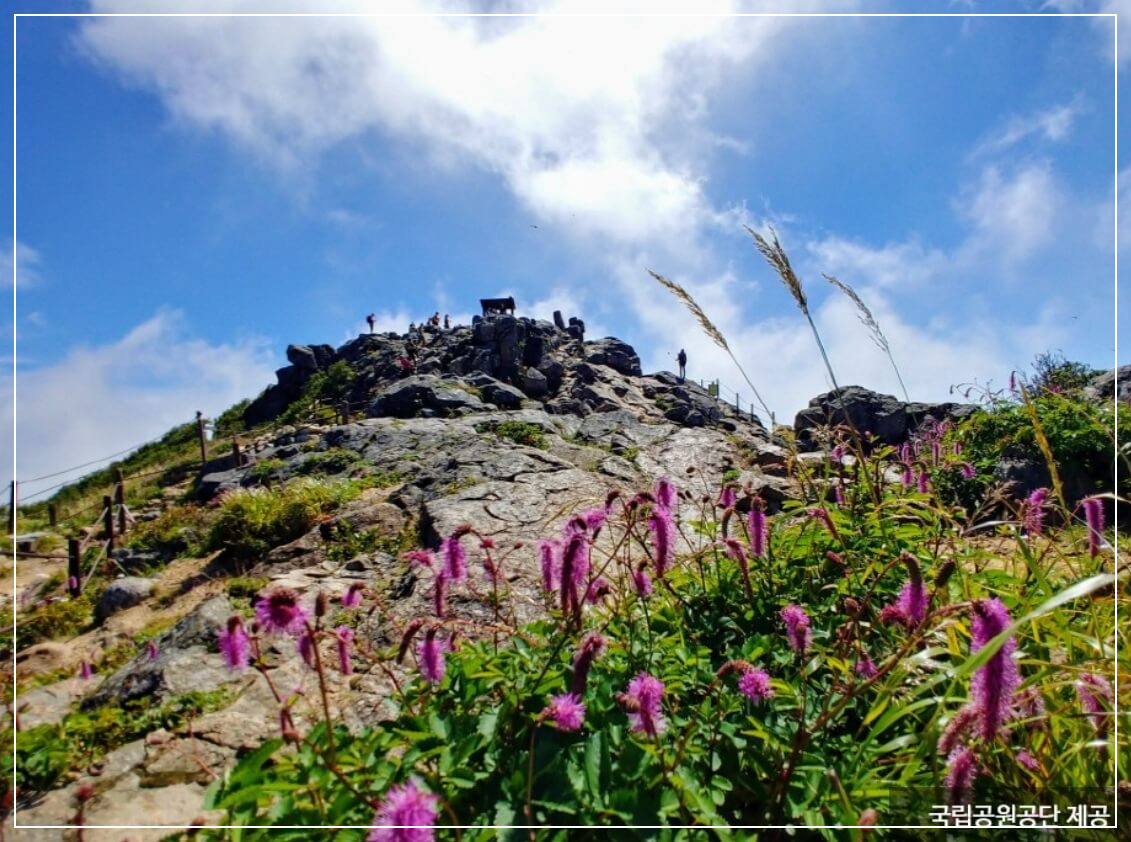 산청 가볼만한곳 베스트10 지리산 천왕봉