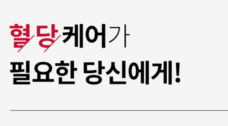 솔티스 혈당 프로텍션 프로 후기