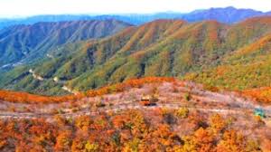 대봉산 단풍명소