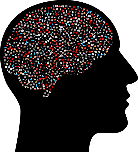 면연력 높이는 영양제