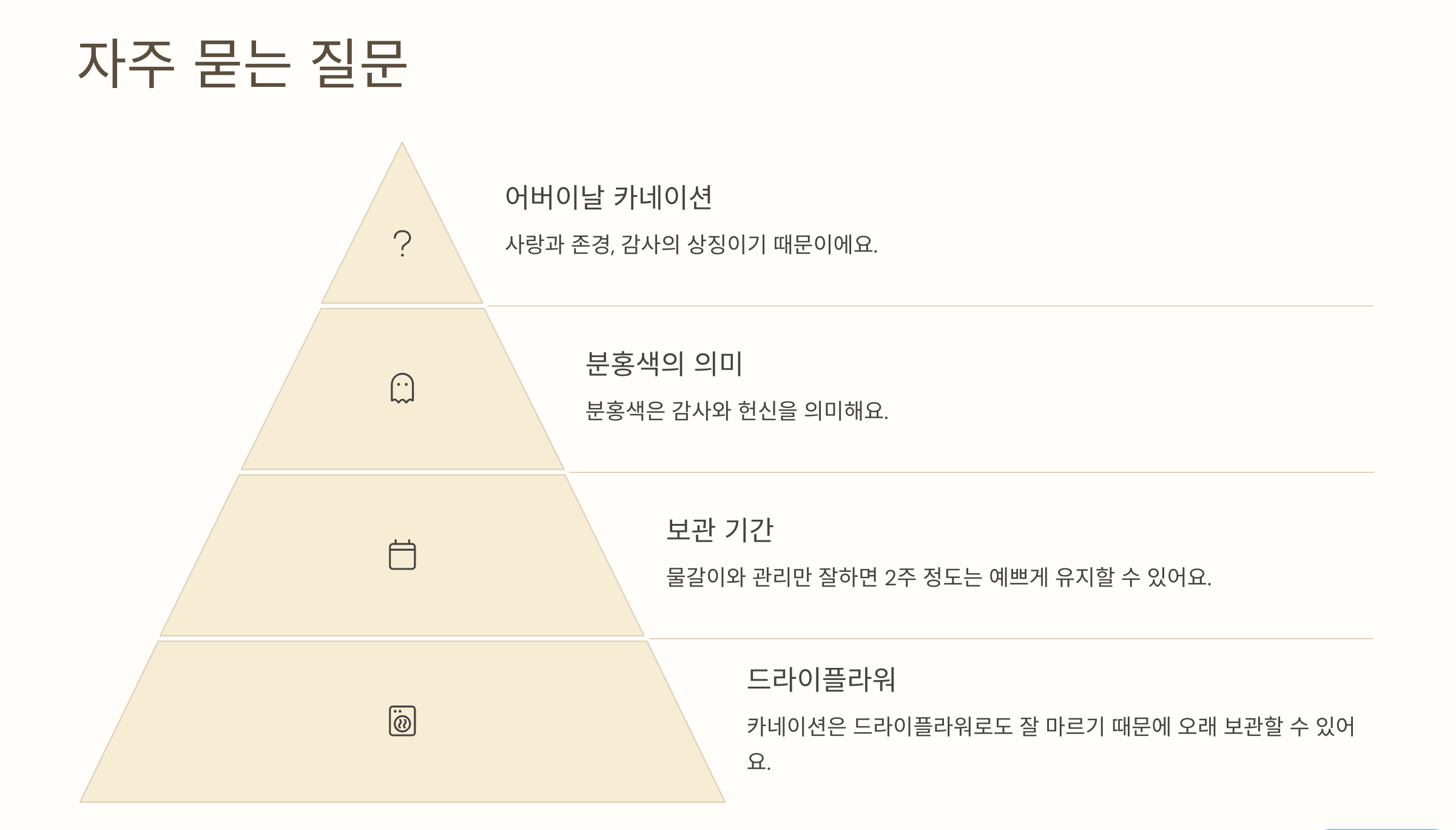 카네이션