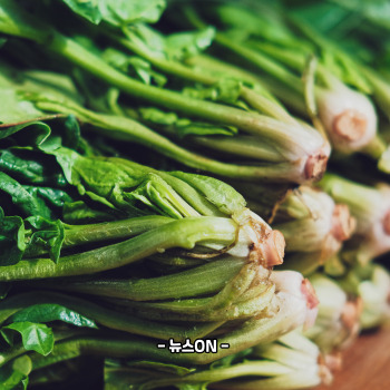 마그네슘이 풍부한 음식