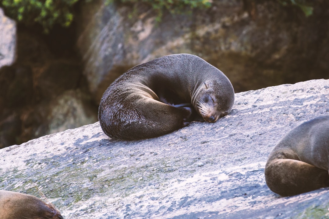 Corporate seal