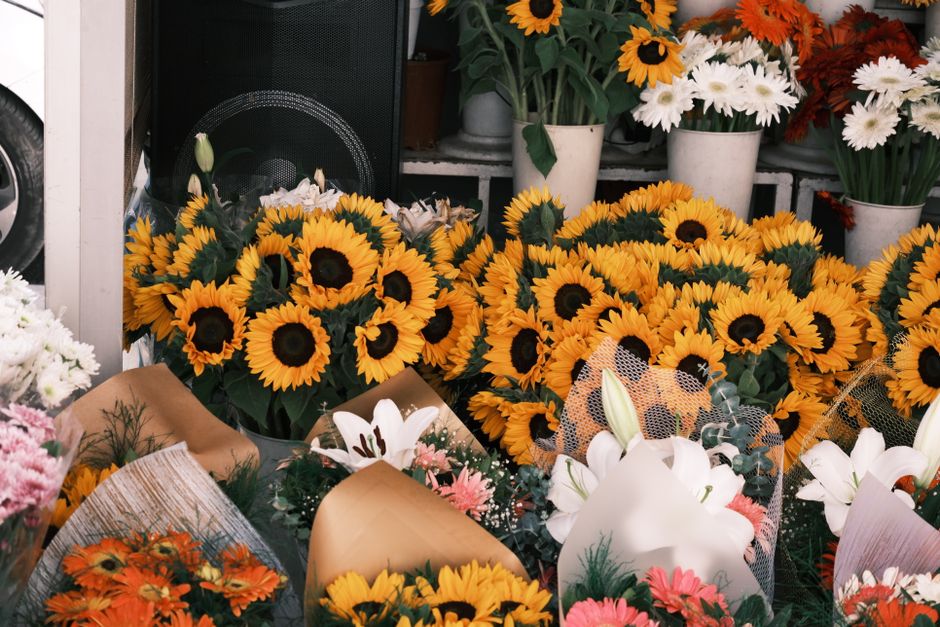 Vibrant sunflowers and mixed bouquets at a flower shop in İzmir, T&uuml;rkiye.