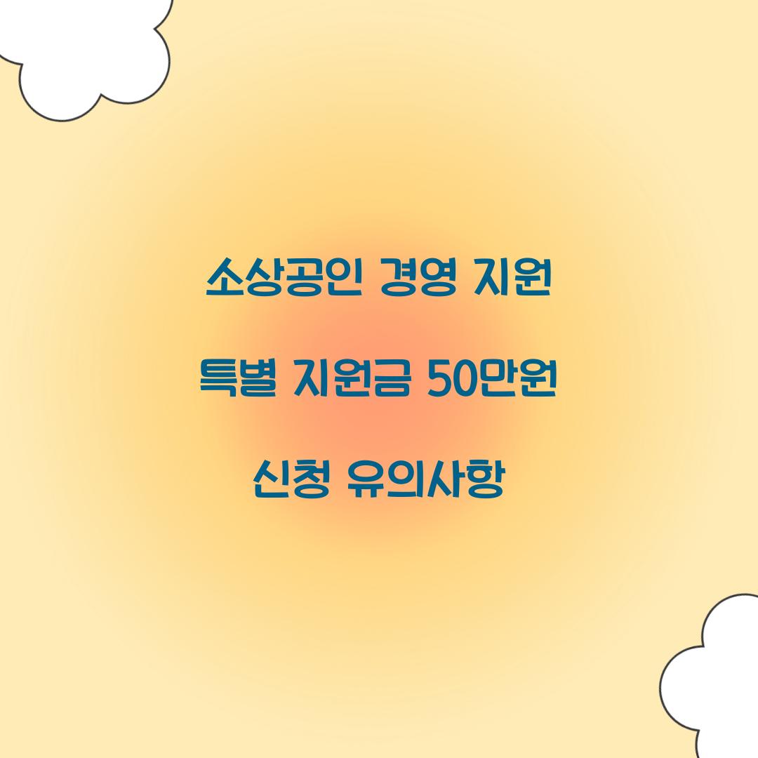 소상공인 경영 지원 특별 지원금 50만원
