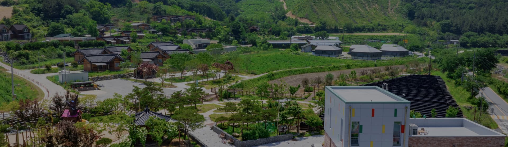 자연 치유 기반의 스트레스 호르몬 조절법: 자연 속 신체 반응 연구