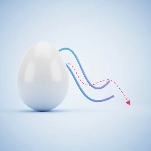 놀라운 진실! 계란과 콜레스테롤에 대한 최신 연구 결과