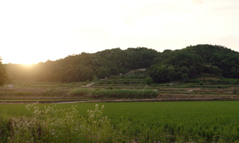 어쩌다 전원일기 배경 2