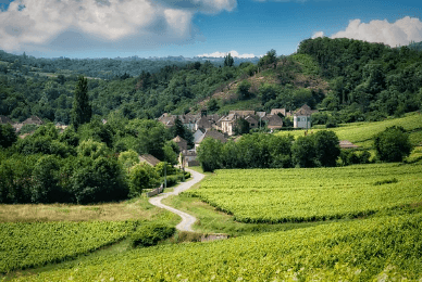 과천 그린벨트 개발