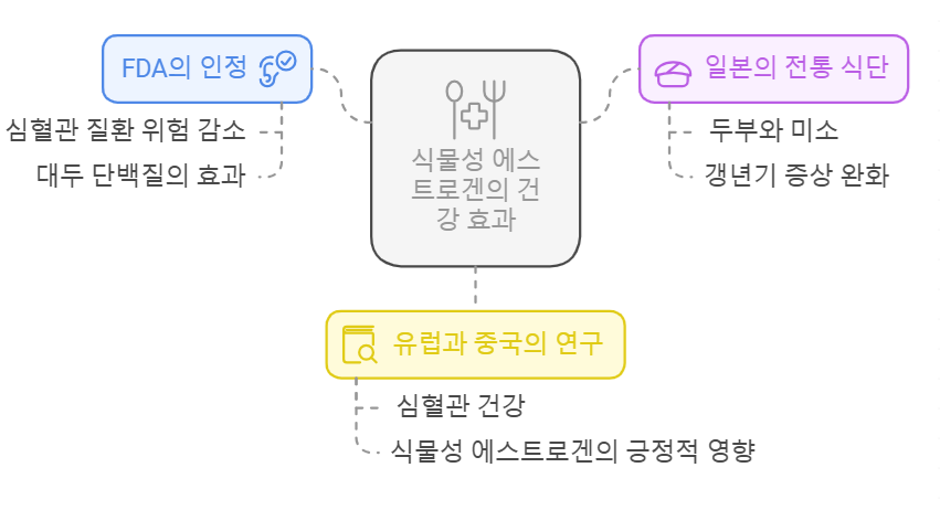 식물성 에스트로겐의 건강 효과