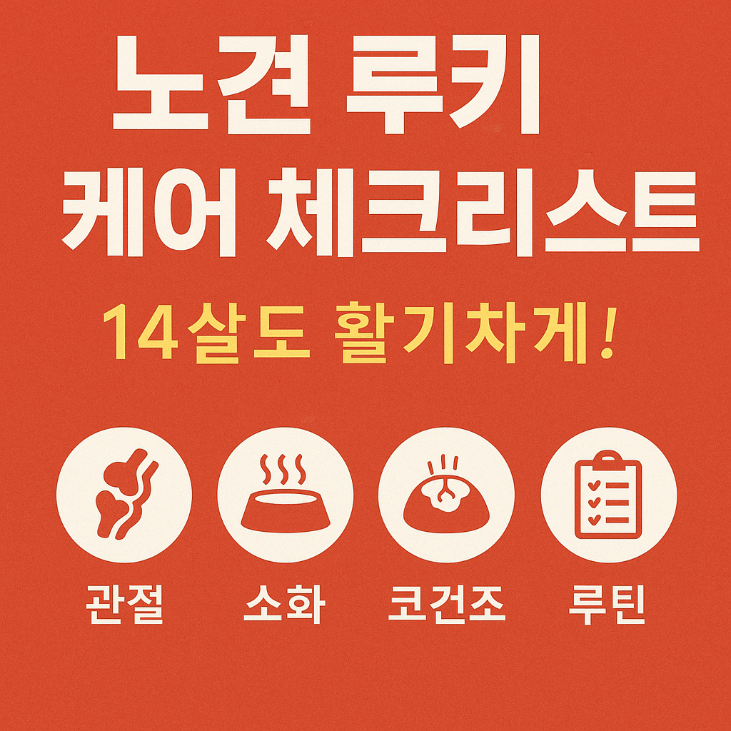 노령견 일상 케어 가이드: 15살 노견도 활기차게 돌보는 실전 루틴