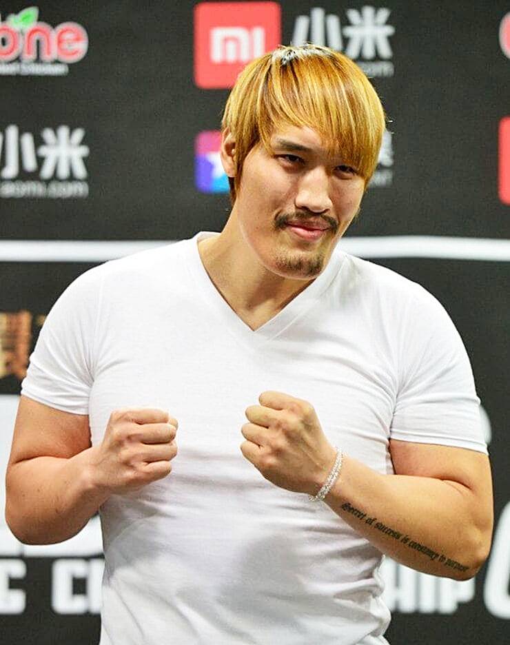 이종격투기선수-출신-방송인-최홍만