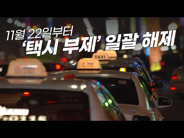 택시 부제 해제 이슈: 심야 승차난 완화와 운행 자율화가 맞물린 배경