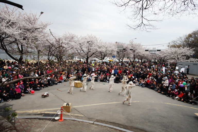 여의도 봄꽃축제 사진