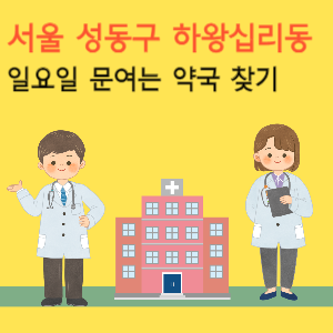 서울 성동구 하왕십리동 일요일 문여는 약국